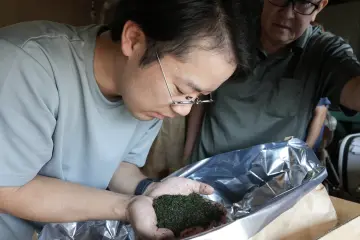 Ikeda Ryo evaluates tea quality
