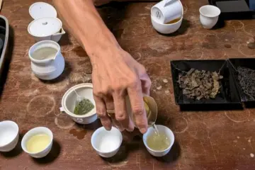 Tea preparation and tasting 