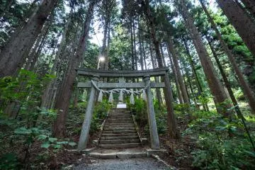 Un torii caché dans la forêt