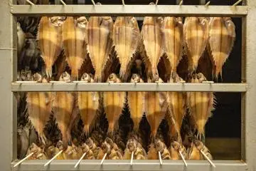 Le séchage du poisson plat chez Miyako Maruei