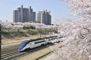 Skyliner e-ticket Face Check in Go: A Stress-Free Skyliner Experience