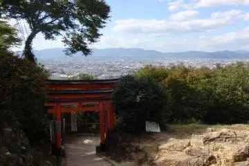 Looking down over Kyoto (Photo: Matthew Shewchuk)