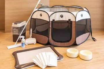 Dog amenities