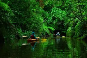 Mangrove Canoe Experience on Iriomote Island