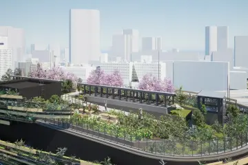 Rooftop garden
