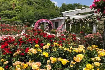 Photo: Recruit Co., Ltd.