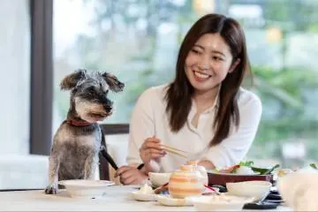 Enjoy meals with your pet