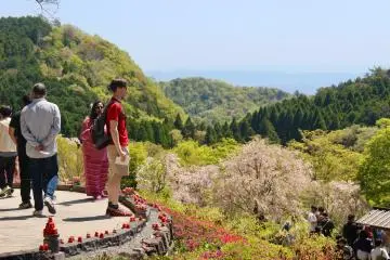 Taking in the view at Katsuoji Temple