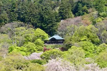 One of Katsuoji Temple's halls and the patchwork of spring color