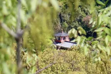 Ryuanji Temple through the leaves from a viewpoint along the ride