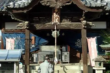 Gallery image