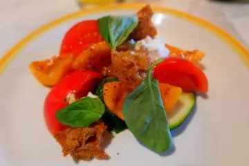 Summer tomato and grilled courgette salad