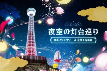 Night Sky Lighthouse Tour at Yokohama Marine Tower 2026