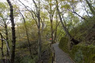 The falls are over this way! Can you hear them roar?
