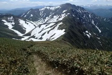 The well used trail (Photo: Matthew Shewchuk)