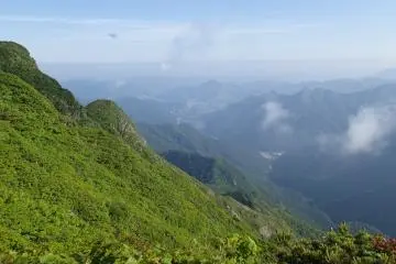 Looking down into Niigata (Photo: Matthew Shewchuk)