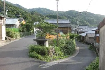 Yakushima Island.