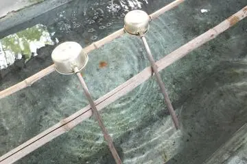 정화대
