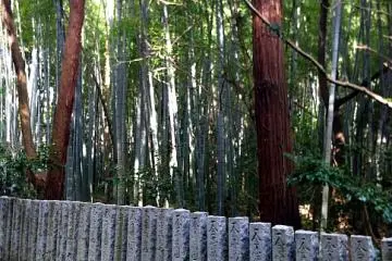 The road to Taisan-ji