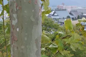 Located high up on a hill, the park offers up views of lovely Sabae