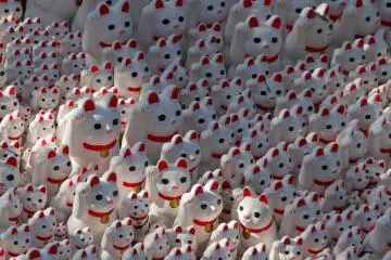 พวกเขาดูเหมือนกำลังโบกมือ