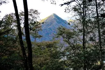 길가에서 호수로 다시 운전해서