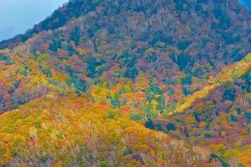 해가 뜨면, 산의 표면이 멋지게 변해요!