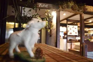 카페의 여러 면을 구경하는 것을 즐겼다!