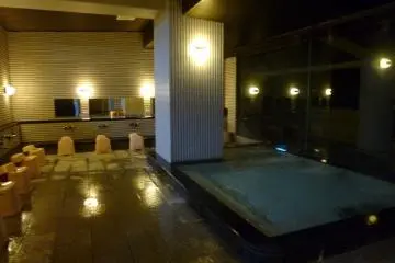 The ladies's indoor onsen