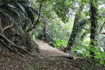 <p>There are many paved and unpaved trails throughout the park</p>