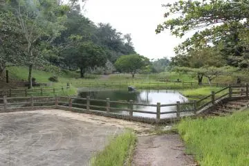 <p>This small pond is beside the observation tower and adjacent to the Hija River</p>