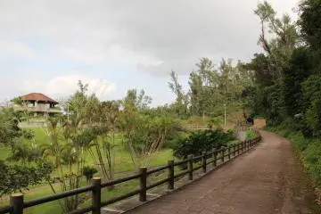 <p>The many pathways in the park are the highlight of the Hija Castle Site</p>
