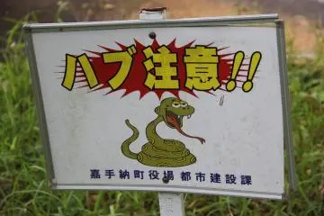 <p>Stay away from thick vegetation as there's likely to be poisonous habu snakes lurking about</p>
