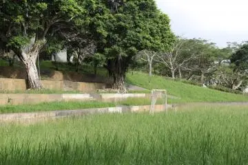 <p>A lone makeshift football goal seems to be forgotten in overgrown grass in the park at the Yara Castle Site</p>