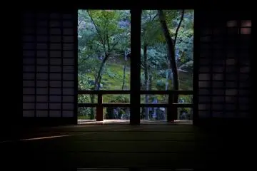 <p>Las puertas est&aacute;n abiertas y puedes ver gran parte del jard&iacute;n. Lo que no puedes imaginar es la sorpresa que te espera del otro lado</p>
