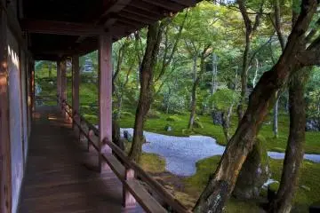 <p>El jard&iacute;n Zen visto desde el p&oacute;rtico del Hojo</p>