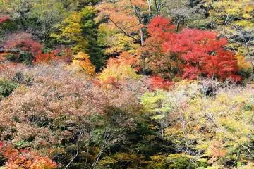 우메노키 토도로 폭포 근처의 산들