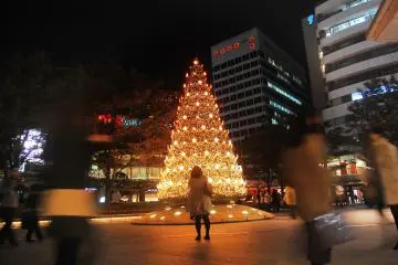 10 meters high of Christmas tree