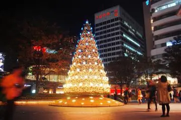 Feel the warmth of this Christmas tree