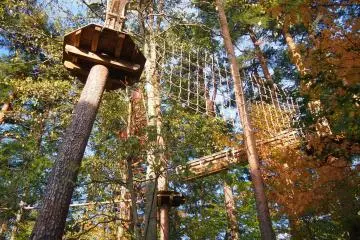 The hotel has an obstacle course used for GAO activities! GAO Activity Center also offers other activities like fruit-picking and trekking.