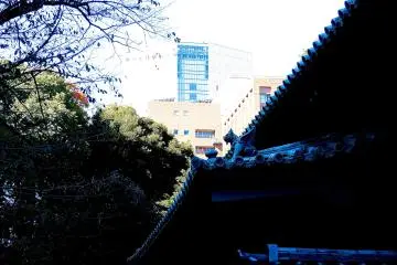 도쿄 메디컬 치과 대학은 홀 바로 옆에 위치하고 있습니다