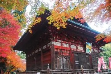 Gallery image