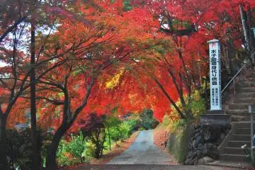 An exit way from Shimabuji temple