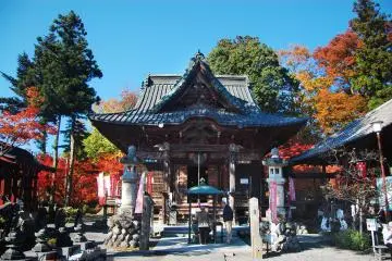 Gallery image