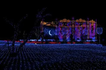Moonlight at the Art Garden