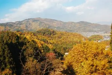 Autumn foliage view from the train