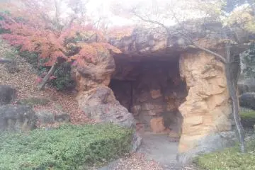Gallery image