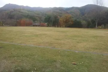 Wide grassy area to burn some energy