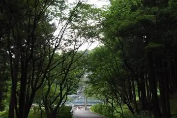<p>The approach up to the Daibutsu</p>