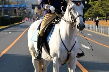 Imperial Palace Guard on horseback